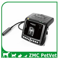 Veterinary B Mode Ultrasonic Diagnostic Instruments