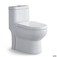 B751 Toilet Safety Rail Stainless Steel Toilet Paper Box High Toilet Bowl