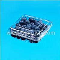 Clear  PET container for blueberry, clamsehll lid PET punnet,single-used