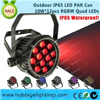 Waterproof LED PAR light 12pcs*10W Quad LEDs,LED Floodlight,LED Garden light
