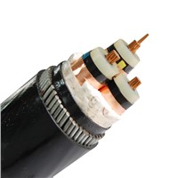 0.6/1kV 2-core CU/XLPE/SWA/PVC Cable