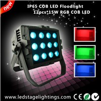 New arrived,15W COB LED Floodlight 12pcs LEDs inside,China LED floodlight