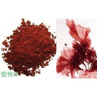 Axtaxanthin extract powder from Haematococcus pluvialis 5% for cosmetics and medicine
