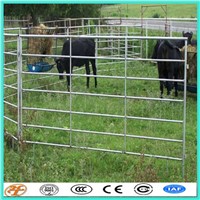 Farming Equipment 6 round iron rail Cattle cow Headlocks For Sale