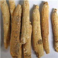 wholesale chinese plant sophora root extract powder oxymatrine