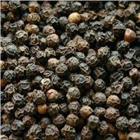 Natural Black Pepper Extract Piperine