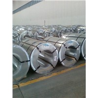 Galvanized Steel Coil / Hot dipped galvanized steel coil