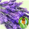 100% Pure France Lavender Essential Oil