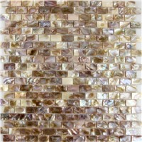 MOP-C01 Natural Colorful Shell Mosaic Bathroom wall Floor Tile