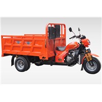 XMI250TRIKE-DW