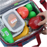 insulated lunch/cooler/storage bags for adults
