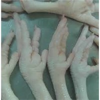 Chicken Leg Chicken Feet Processed
