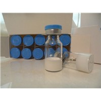 Insulin Peptide Hormone Increase Muscle HGH Top Quality HGH Wholesale