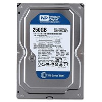 Western Digital WD Caviar Blue 250GB Internal HDD 3.5" Desktop Hard Drive Disk