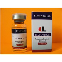 TESTOVIRON 250 Testosterone Enanthate Wholesale TE250 Factory Price