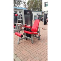 Seated Leg Curl (SA12)/Fitness Equipment/Indoor Fitness Machine