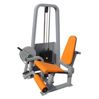 Gym Equipment- Leg Extension(SW11)