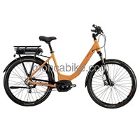 High Speed  Electric Bike with  Central Driven Motor