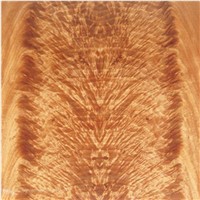 natural okoume crotch veneer for hotel decoration and high end furniture