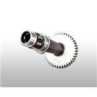 small stainless steel helical gear shaft