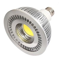15W Epistar COB LED Par38 Light E27 LED Spotlight Bulb Lamp For Building