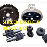 Gears and Pinions for Oil Expeller/Oil Screw Press