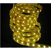 LED Flexible Strip Light