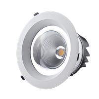 2Inch 3Inch Recessed COB LED Down Light/Commercial LED Lighting/China Manufacture