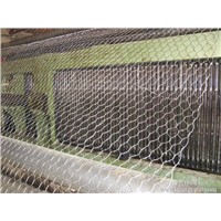 gabion mesh slope protection/gabion mesh flood mesh /gabion mesh factory