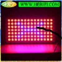 herifi 98x3w LED Grow Light/full spectrum grow led 200w