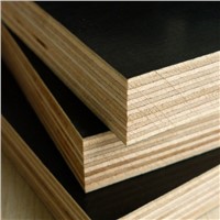 Best price film faced plywood from plywood factory