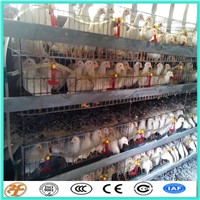 3 tiers battery H type chicken egg poultry farm cage