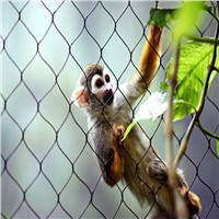 Top Quality Stainless Steel Wire Rope Mesh / Cable Mesh As Zoo Mesh