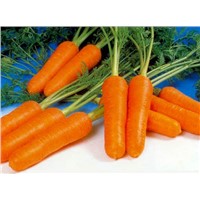 Beta-Carotene / Carrot Extract