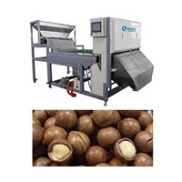 CCD Walnut Color Sorter,competitive price and stable performance