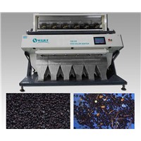 Currant Color Separator|Currant  Color Sorter Machine|Currant Color Sorter Machine