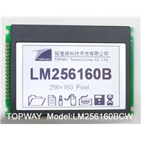 256X160 Graphic LCD Display COB Type LCD Module (LM256160)