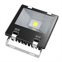Colour Changing Outdoor 10W LED Flood Lights