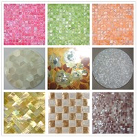 Different Style Shell Mosaic Tile