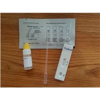 one step rapid diagnostic Typhoid test card