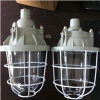 explosion proof light,BCD-200W,made in china