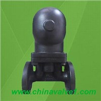 FT44 ball float steam trap