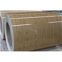 Wood pattern grain ppgi steel coil