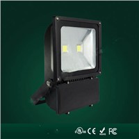 100W LED Flood Light Manufacturer