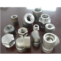 OEM Carbon and Alloy Steel Forging Parts