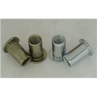 Blind Rivet Nut- EUB Series