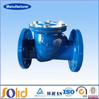 ANSI standard Ductile Iron Flanged End Swing Check Valve