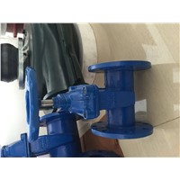 gate valve