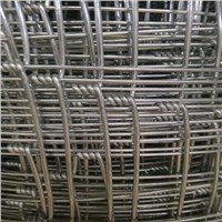 2.5/3.0mm High quality Hot dipped galvanized field fence/sheep fence/grassland fence