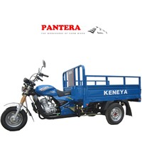 PT200ZH-10 Low Price Cargo Automatic 200cc Three Wheel Motorcycle